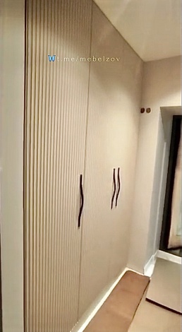 Распашной шкаф в нишу коридора